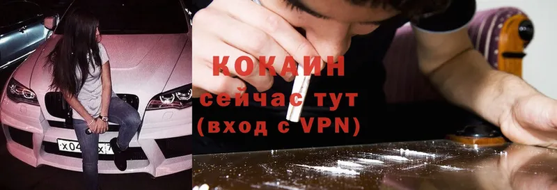 дарнет шоп  Мичуринск  площадка наркотические препараты  COCAIN 99% 